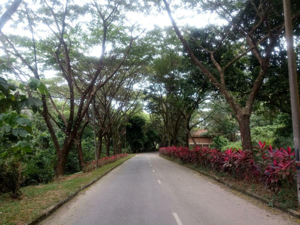 Janaview Taiping Hotel Экстерьер фото